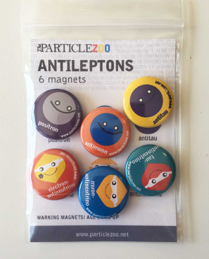 Subatomic Particle Magnets | The Particle Zoo