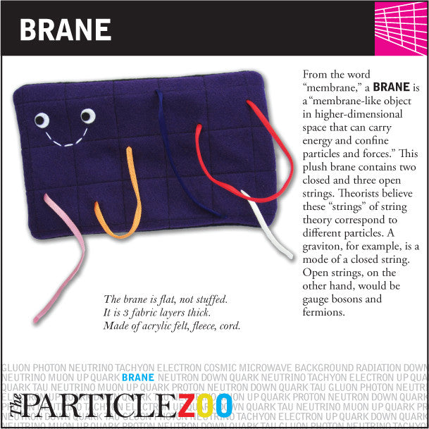 Brane | The Particle Zoo