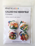 calabi-yau manifold magnets